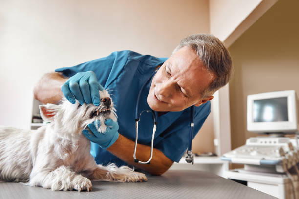 Best Weekend Emergency Dentist in Richwood, TX
